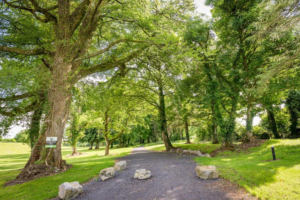 Breaffy Woods Hotel Castlebar Zewnętrze zdjęcie