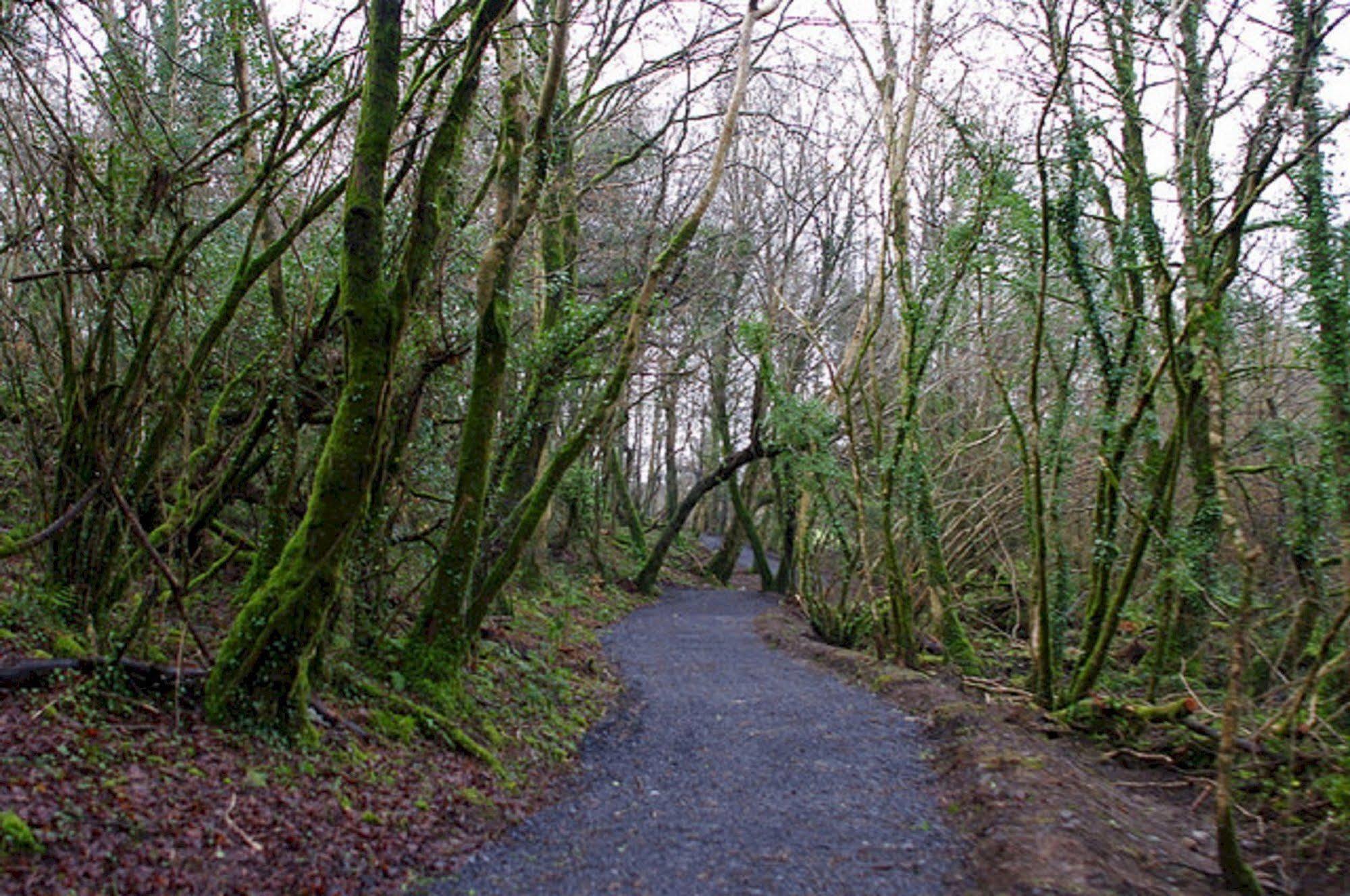 Breaffy Woods Hotel Castlebar Zewnętrze zdjęcie